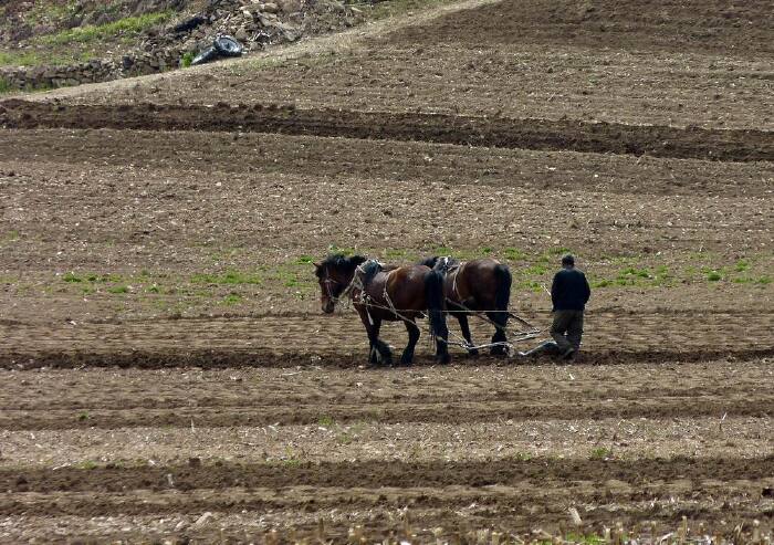 我的悠然假期宽甸掠影