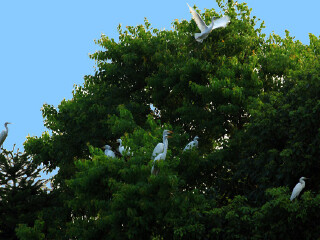 千鹭湖国际度假区