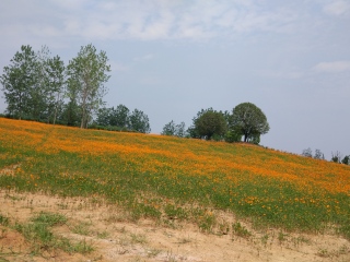南京雨发生态旅游区
