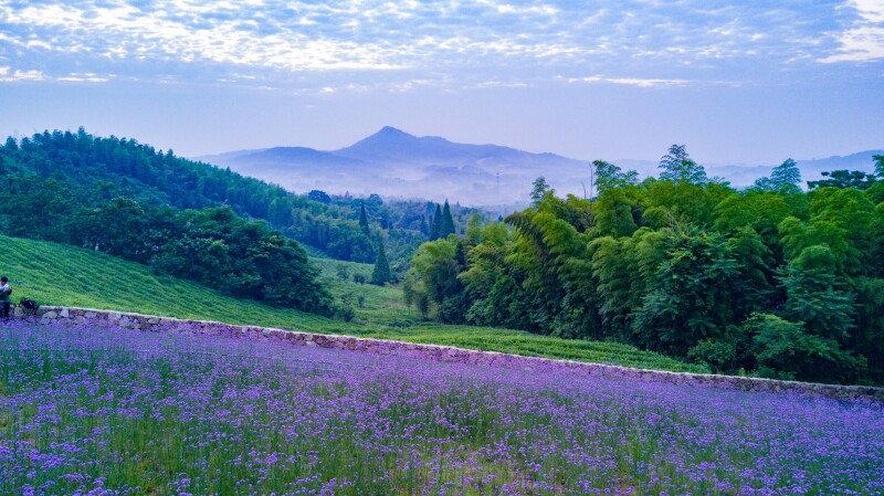 行在美岕山野间,日出而林霏开,野芳发而幽香,上帝都为之惊叹!_旅游游