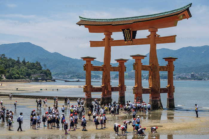 探秘日本的「神之岛」与海中鸟居奇景