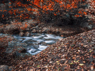 神灵寨森林公园