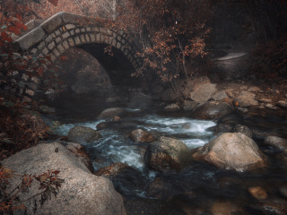 神灵寨森林公园