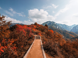 神灵寨森林公园
