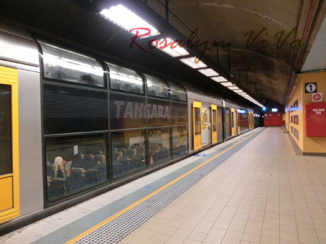 伴着波光粼粼白天的bondibeach,乘坐公bus前往市中心,bondi到市中心的