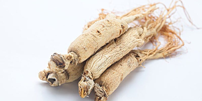 甘谷党参属于西党防党,品质优良成书于清乾隆十四年(1749年)的巩建.