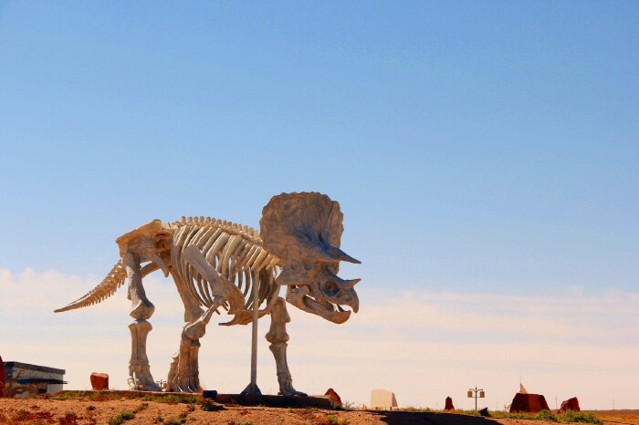   二连恐龙国家地质公园