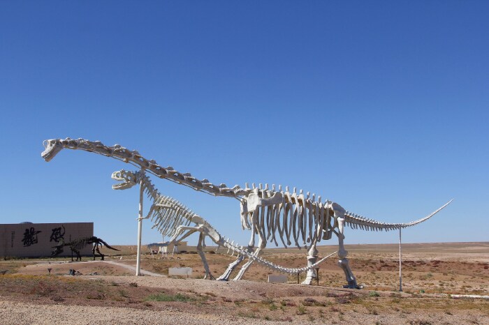   二连恐龙国家地质公园