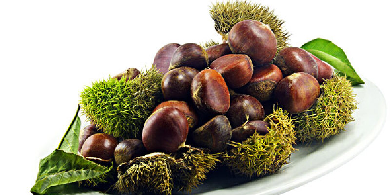 颜集大红袍板栗