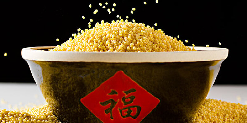 隆化小米