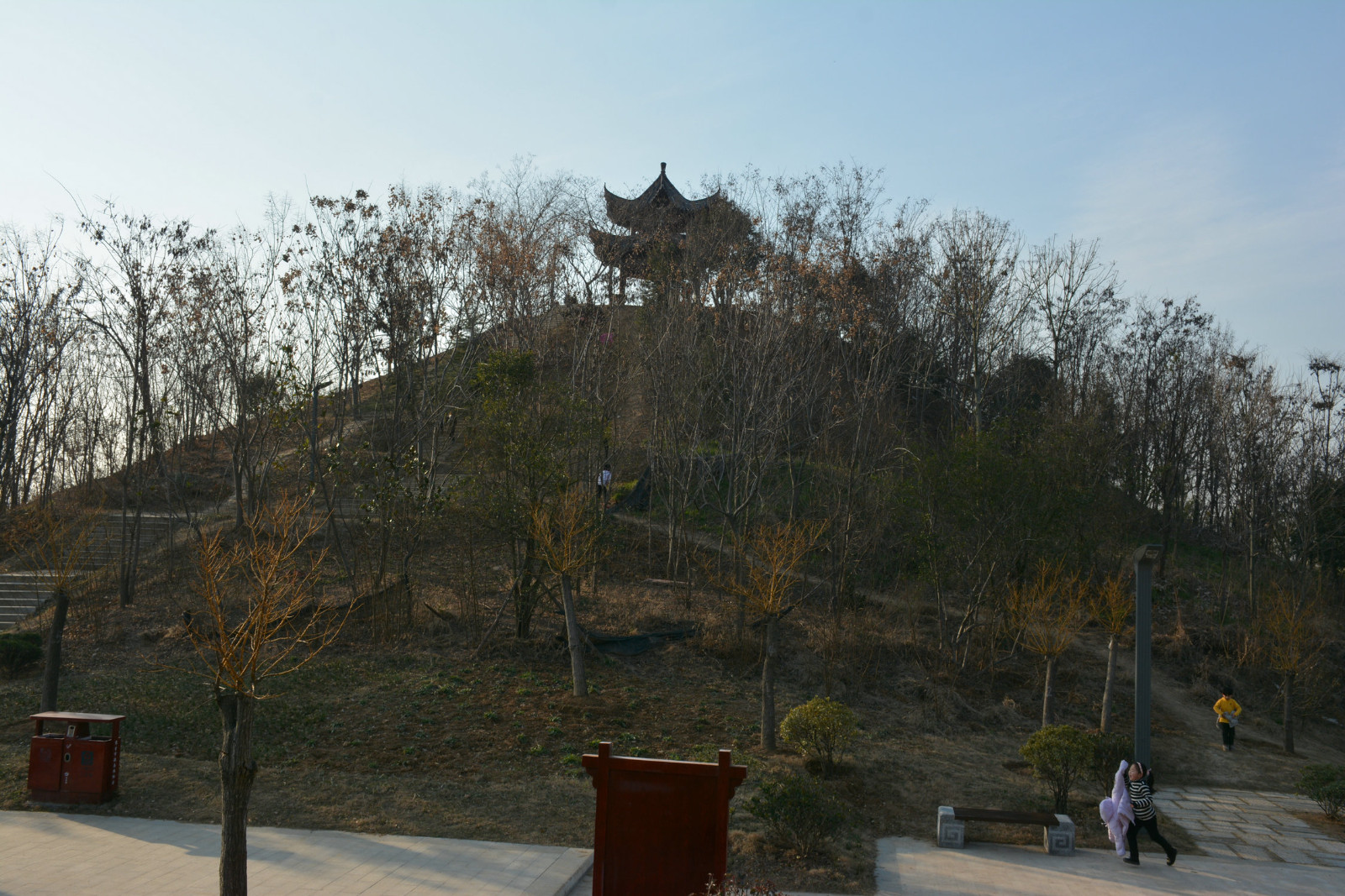 過大年#家鄉界首小城美景①潁南植物園