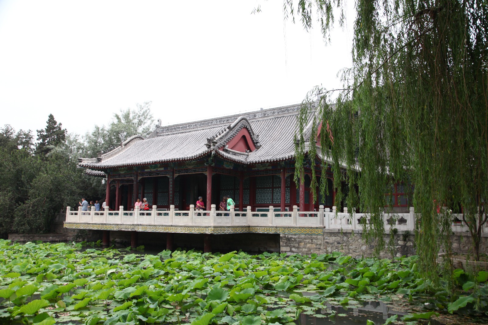 夏游北方"小西湖":保定古莲花池