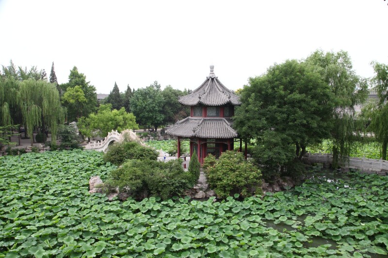 夏游北方小西湖保定古莲花池