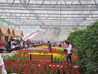 新津花舞人间景区