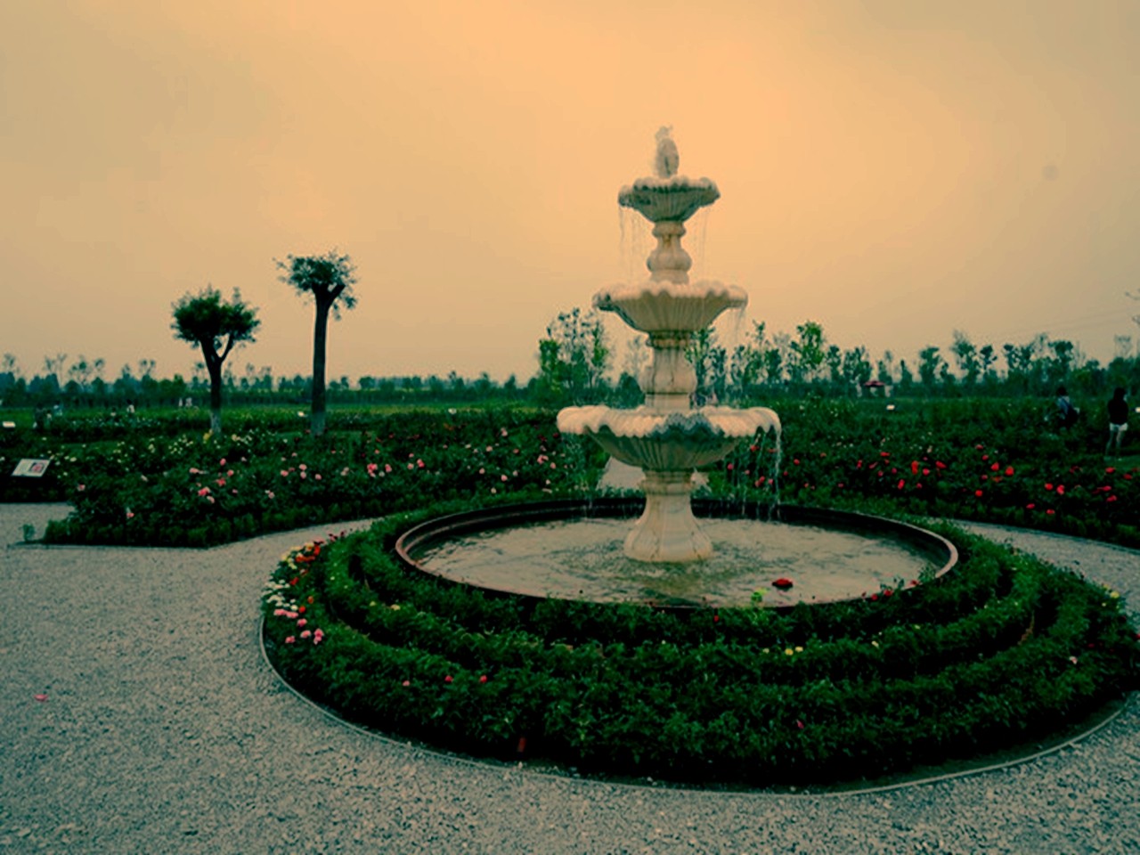 1天,天津京滨玫瑰庄园玩法