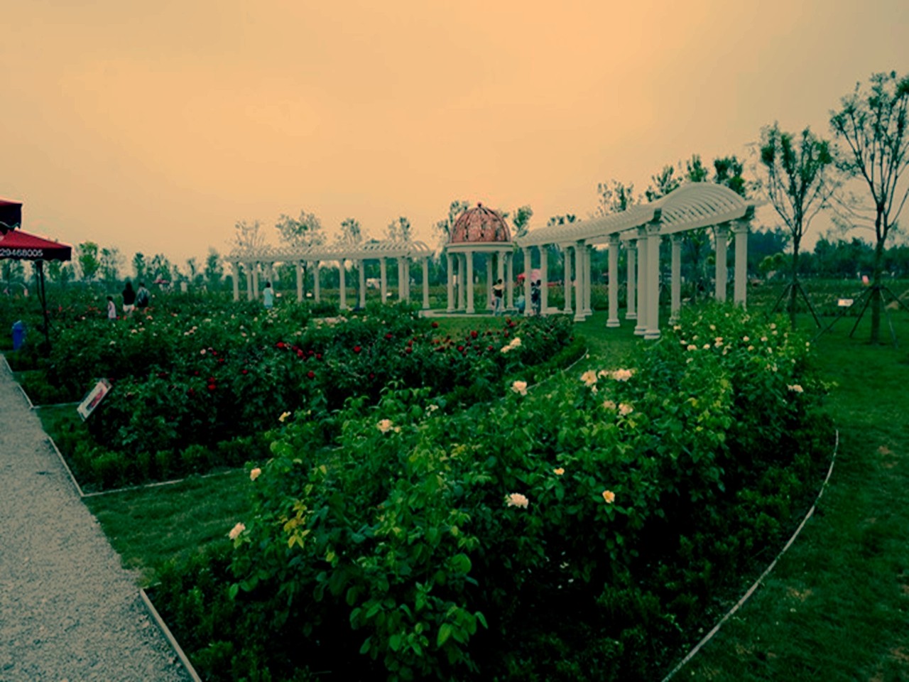 1天,天津京滨玫瑰庄园玩法_天津线路玩法_天津旅游线路推荐