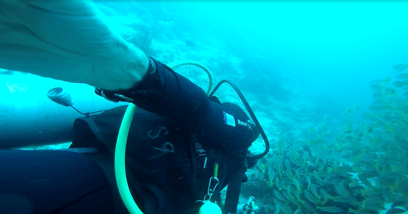 一个女生的沙巴仙本那ow aow潜水考证&肆意游玩之旅!双诞