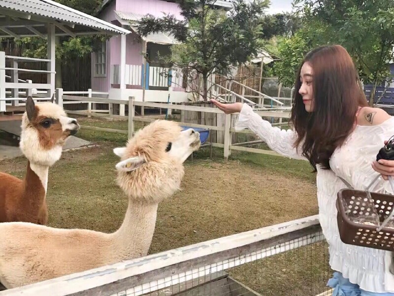 魏莹和郭敏琪的泰国清迈7天5晚旅游全攻略