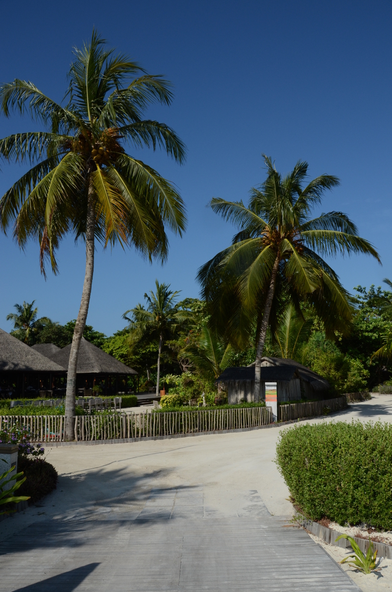 马尔代夫旅游------玛娜法鲁岛