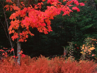 银树沟生态旅游区