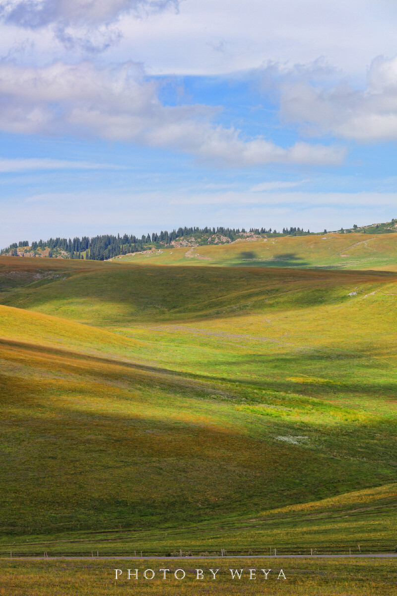 面面旅拍--风吹草地,如沐仙境,北疆行摄觅良景