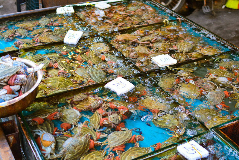 晒年味实拍厦门这个最热闹的海鲜市场