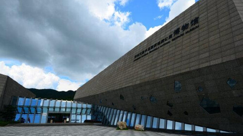 前往大鹏半岛国家地质公园博物馆,公园地质遗迹保护面积50.87k㎡.