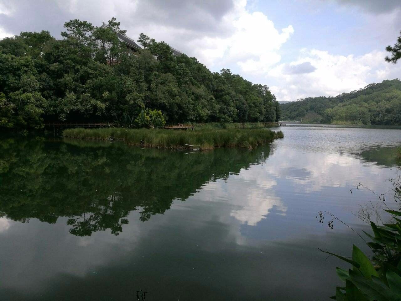 下午來到了梅子湖公園,在梅子湖公園裡的棧道里許念祖拍攝了宣傳照