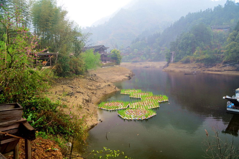 酉水河国家湿地公园图片