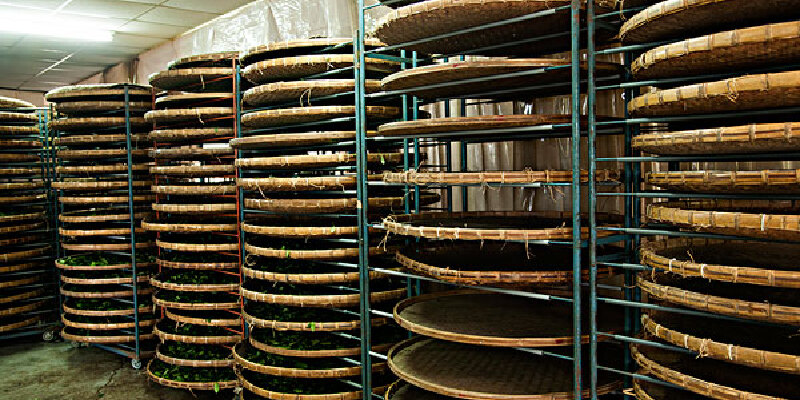 界首陈西楼茶干