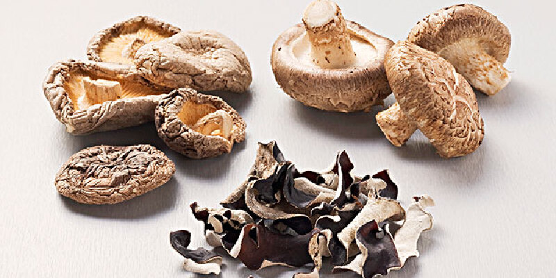 香菇木耳价格_专卖店_哪里买