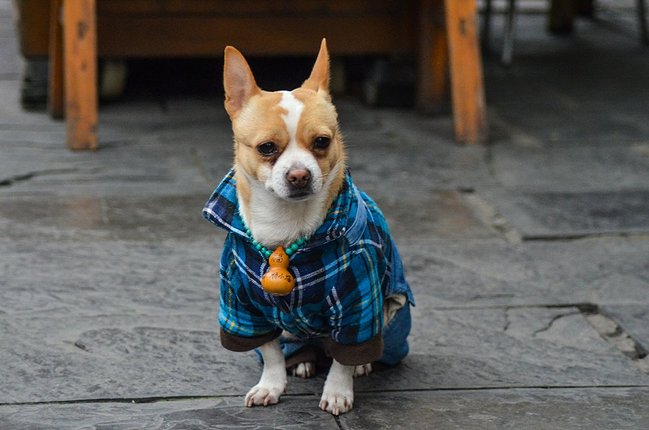 如韦庄,薛昭蕴,牛峤,张泌,毛文锡,牛希济,欧阳炯,顾夐,魏承班,鹿虔扆