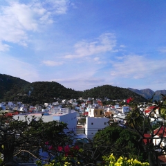 芽庄市区