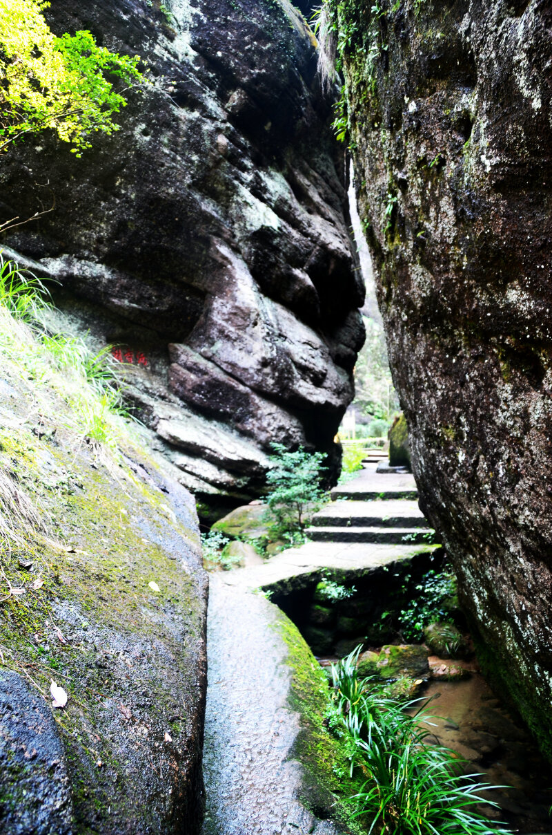 进入九龙涧立时感到凉爽了许多.