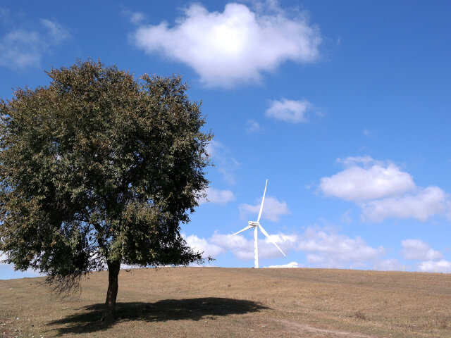 雾霾警报响起时 想起天边那片蓝 驰骋塞罕坝 尽情深呼吸