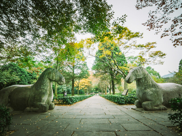 上海周边自驾游必去景点_上海周边自驾游必去