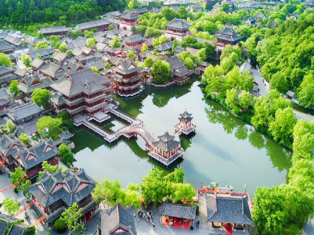上海度假村：享受都市喧嚣中的宁静绿洲