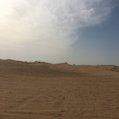 沙漠