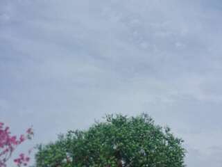 奥兰多迪士尼世界