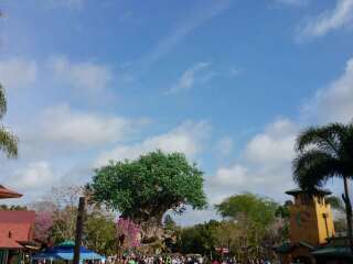 奥兰多迪士尼世界