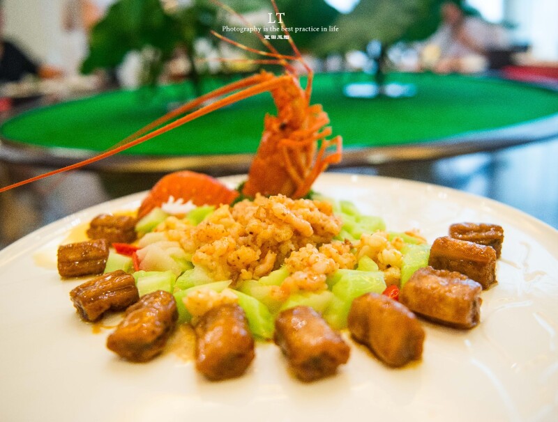 首发伴父母解乡愁吃长寿鱼登长寿梯住碧桂园