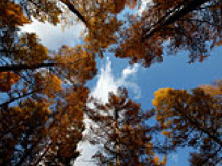 苏木山森林公园