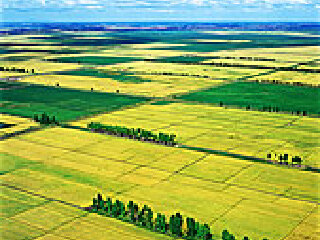 北大荒开发建设纪念馆