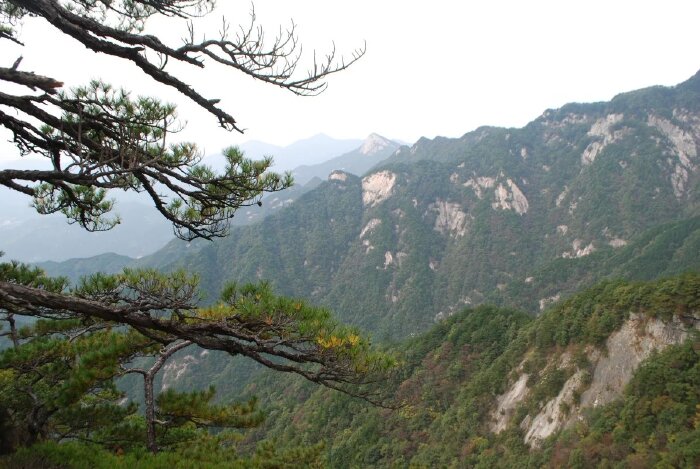 山地地质构造基础是古生代华力西中期的秦岭大别山褶皱带.