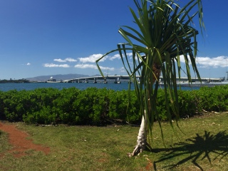 珍珠港