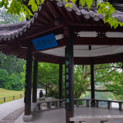 花港观鱼