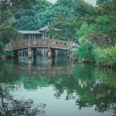 花港观鱼