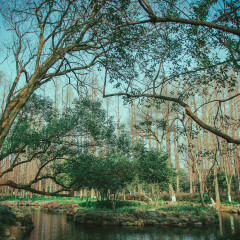 西湖
