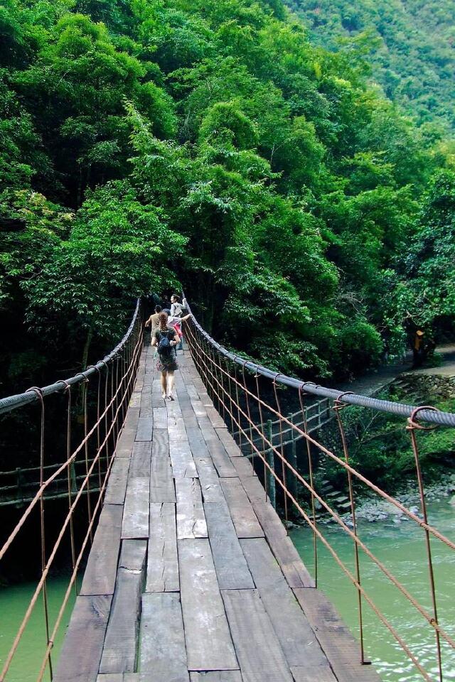 走了一阵,涧谷渐宽,左边仍然是百丈悬崖,右边的