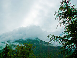 太白青峰峡森林公园